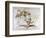 Caricature of Charles Darwin and Emile Littre Depicting Them as Performing Monkeys at a Circus-André Gill-Framed Giclee Print