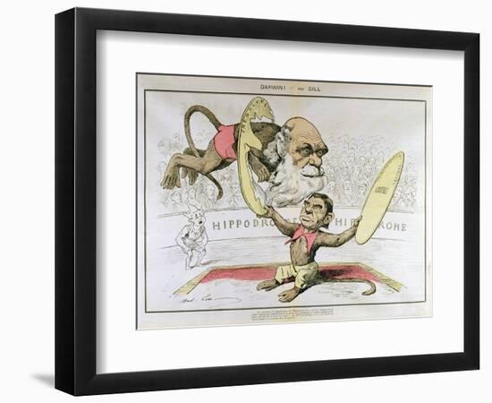 Caricature of Charles Darwin and Emile Littre Depicting Them as Performing Monkeys at a Circus-André Gill-Framed Giclee Print