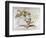 Caricature of Charles Darwin and Emile Littre Depicting Them as Performing Monkeys at a Circus-André Gill-Framed Giclee Print