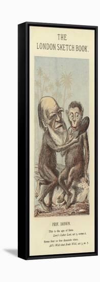 Caricature of Charles Darwin-null-Framed Stretched Canvas