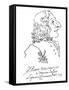 Caricature of Composer Antonio Vivaldi, 1723-Pier Leone Ghezzi-Framed Stretched Canvas