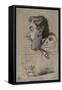 Caricature of Jules Didier (Butterfly Man), C.1858-Claude Monet-Framed Stretched Canvas
