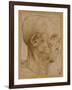 Caricature of the Head of an Old Man, in Profile to the Right, c.1507-Leonardo da Vinci-Framed Giclee Print