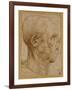 Caricature of the Head of an Old Man, in Profile to the Right, c.1507-Leonardo da Vinci-Framed Giclee Print