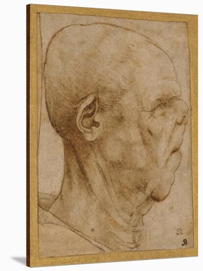 Caricature of the Head of an Old Man, in Profile to the Right, c.1507-Leonardo da Vinci-Stretched Canvas