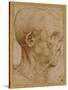 Caricature of the Head of an Old Man, in Profile to the Right, c.1507-Leonardo da Vinci-Stretched Canvas
