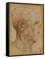 Caricature of the Head of an Old Man, in Profile to the Right, c.1507-Leonardo da Vinci-Framed Stretched Canvas