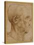 Caricature of the Head of an Old Man, in Profile to the Right, c.1507-Leonardo da Vinci-Stretched Canvas