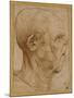 Caricature of the Head of an Old Man, in Profile to the Right, c.1507-Leonardo da Vinci-Mounted Giclee Print