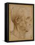 Caricature of the Head of an Old Man, in Profile to the Right, c.1507-Leonardo da Vinci-Framed Stretched Canvas