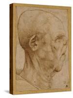 Caricature of the Head of an Old Man, in Profile to the Right, c.1507-Leonardo da Vinci-Stretched Canvas