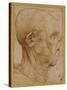 Caricature of the Head of an Old Man, in Profile to the Right, c.1507-Leonardo da Vinci-Stretched Canvas