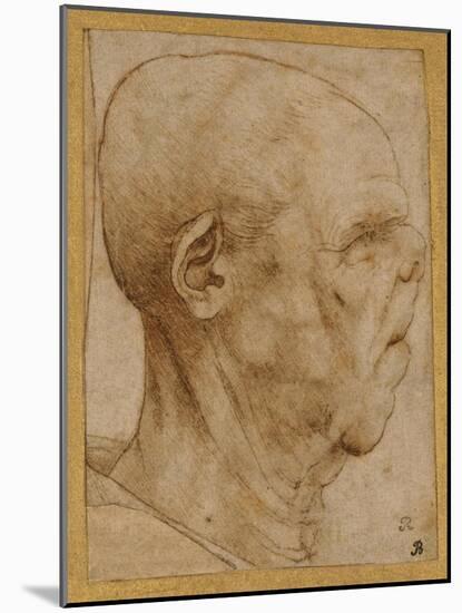 Caricature of the Head of an Old Man, in Profile to the Right, c.1507-Leonardo da Vinci-Mounted Giclee Print