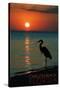 Carillon Beach, Florida - Heron and Sunset-Lantern Press-Stretched Canvas