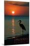 Carillon Beach, Florida - Heron and Sunset-Lantern Press-Mounted Art Print