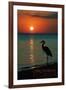 Carillon Beach, Florida - Heron and Sunset-Lantern Press-Framed Art Print