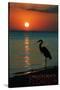 Carillon Beach, Florida - Heron and Sunset-Lantern Press-Stretched Canvas