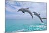 Carillon Beach, Florida - Jumping Dolphins-Lantern Press-Mounted Art Print