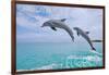 Carillon Beach, Florida - Jumping Dolphins-Lantern Press-Framed Art Print