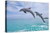 Carillon Beach, Florida - Jumping Dolphins-Lantern Press-Stretched Canvas