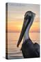 Carillon Beach, Florida - Pelican-Lantern Press-Stretched Canvas