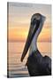 Carillon Beach, Florida - Pelican-Lantern Press-Stretched Canvas