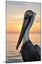 Carillon Beach, Florida - Pelican-Lantern Press-Mounted Art Print