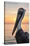 Carillon Beach, Florida - Pelican-Lantern Press-Stretched Canvas