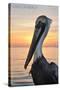 Carillon Beach, Florida - Pelican-Lantern Press-Stretched Canvas