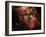 Carina Nebula-Stocktrek Images-Framed Photographic Print