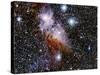 Carina Nebula-Stocktrek-Stretched Canvas