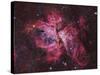 Carina Nebula-null-Stretched Canvas