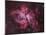 Carina Nebula-null-Mounted Photographic Print