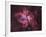 Carina Nebula-null-Framed Photographic Print