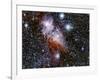 Carina Nebula-Stocktrek-Framed Photographic Print