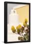 Essential Black