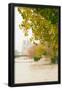 Essential Black