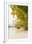 Gramercy White