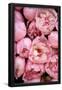 Essential Black