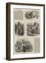 Carisbrook-Samuel Read-Framed Giclee Print