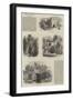 Carisbrook-Samuel Read-Framed Giclee Print