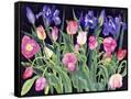 Canvas Black