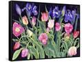 Canvas Black