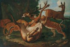 Studies of a Red Deer, an Ibex, a Wild Boar, Three Wolves, Two Beavers, Two Hares, a Fox, Four…-Carl Borromaus Andreas Ruthart-Stretched Canvas