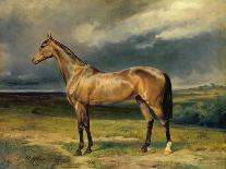 Abdul Medschid' the Chestnut Arab Horse, 1855-Carl Constantin Steffeck-Premium Giclee Print