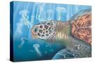 Stretched Canvas