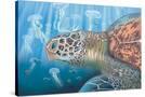 Stretched Canvas
