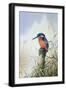 Black Frame