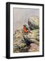Black Frame
