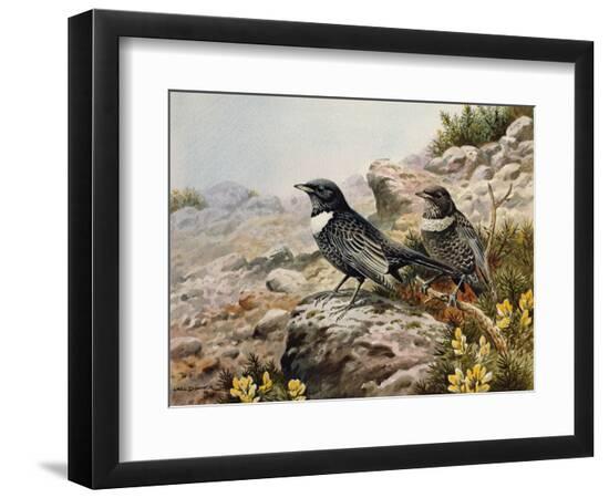 Premium Giclee Print, , large